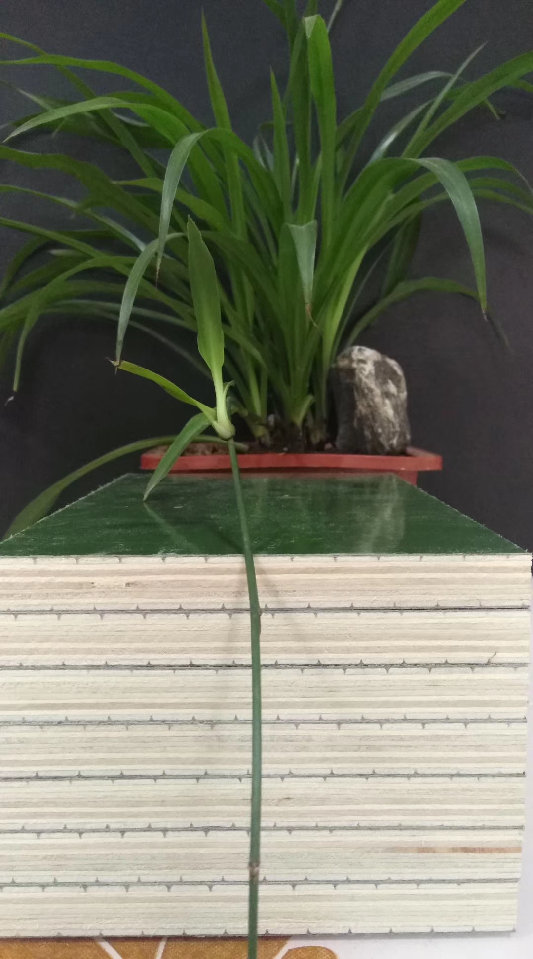 覆塑模板 覆塑模板